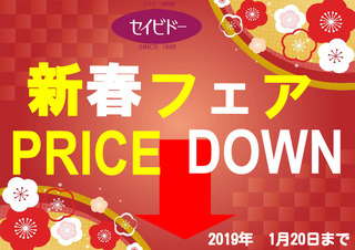 2019年セイビドー新春フェア.jpg