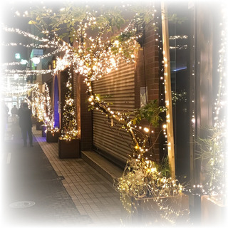 イルミ②.jpg