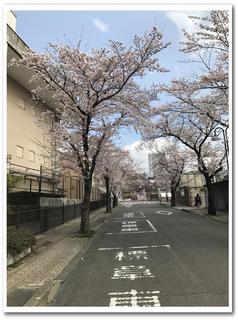 公園正面道路.jpg